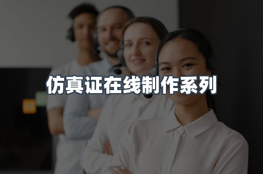 仿真证在线制作